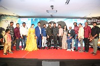 RudraVeena Movie Pre Release Event